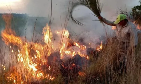 Se realizaron denuncias en la comisaría 51 y, tras las primeras pericias, se confirmó la triste noticia. Se realizaron denuncias en la comisaría 51 y, tras las primeras pericias, se confirmó la triste noticia.