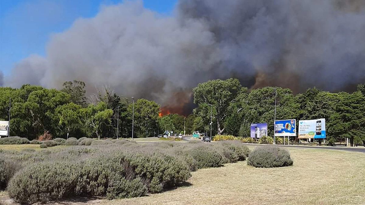 Se desató un incendio en el bosque de Villa Gesell y los vecinos abandonan la zona