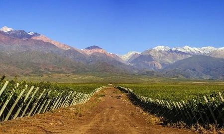 Ni Tucumán ni Salta: el pueblito de Mendoza donde se hacen los mejores vinos. Ni Tucumán ni Salta: el pueblito de Mendoza donde se hacen los mejores vinos.