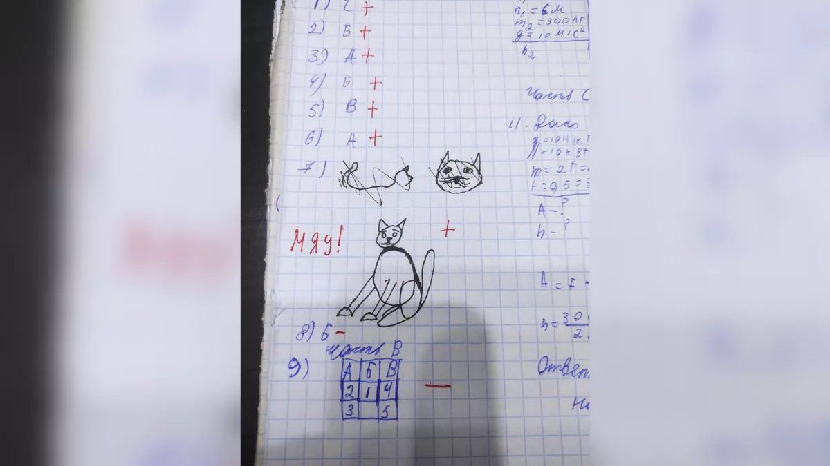 Los divertidos resultados de un examen de física en el que la profesora pidió a sus alumnos que dibujaran animales