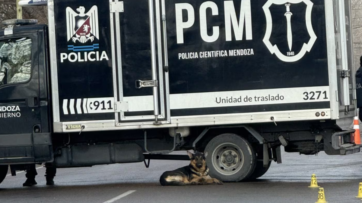 Ocurrió este lunes por la mañana en la localidad mendocina de Rodeo del Medio.&nbsp;