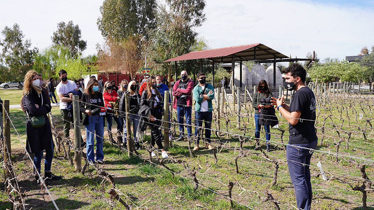 Los anunciantes, medios y agencias recorrieron la bodega Casa Vigil.