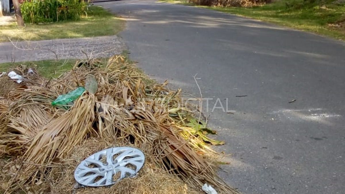 Vecinos de General Alvear denuncian abandono tras la aparición de microbasurales