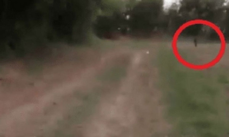 Roba vacas, ataca nenes y se hace invisible: relatos fantásticos del supuesto duende del norte de Santa Fe Roba vacas, ataca nenes y se hace invisible: relatos fantásticos del supuesto duende del norte de Santa Fe