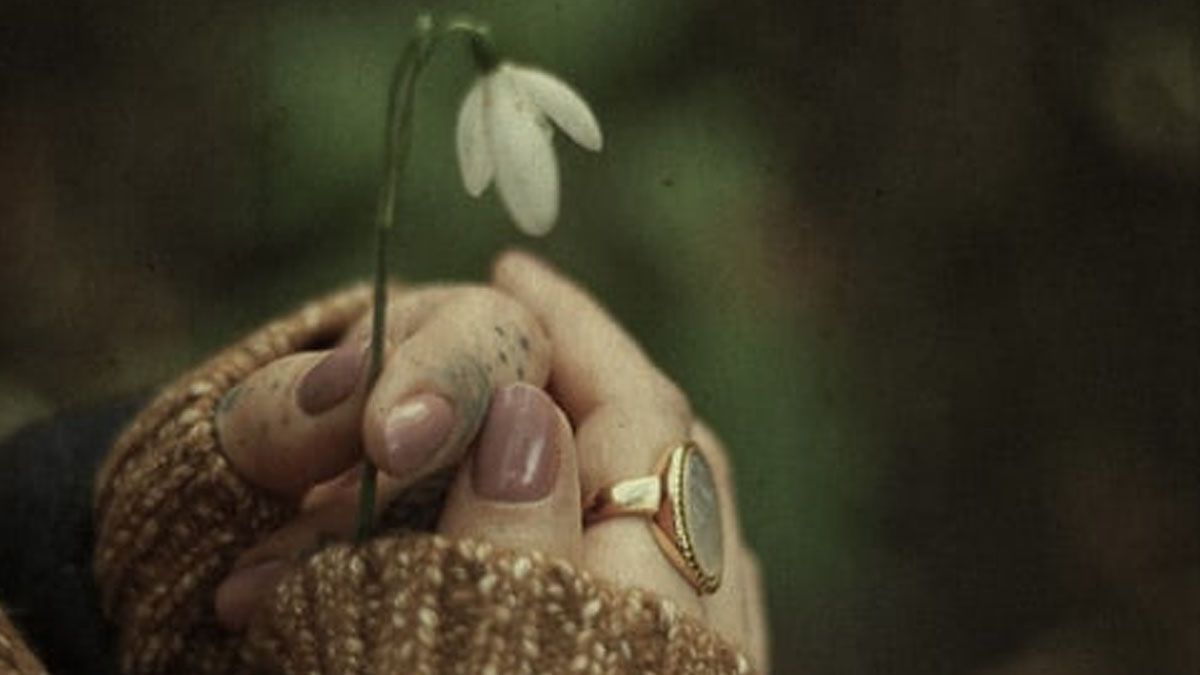 Horóscopo: los signos del zodiaco que no te perdonarán que los hagas sufrir