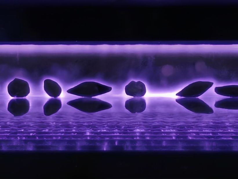 Plasma no térmico: una tecnología nacida en el Conicet que busca cambiar el tratamiento de semillas Plasma no térmico: una tecnología nacida en el Conicet que busca cambiar el tratamiento de semillas