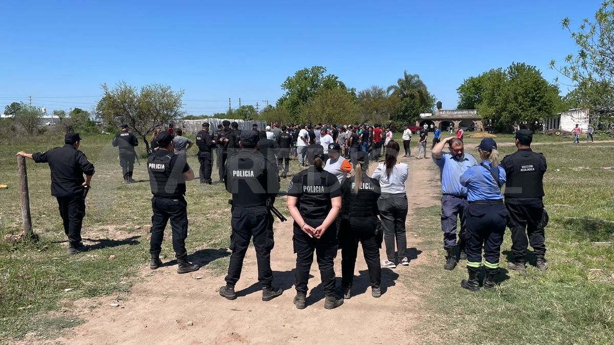 Desarticularon una organización que realizaba carreras de perros galgos en Sauce Viejo