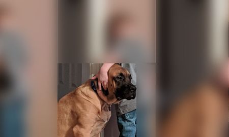 lo pusieron en penitencia y la imagen junto a su perro es viral lo pusieron en penitencia y la imagen junto a su perro es viral