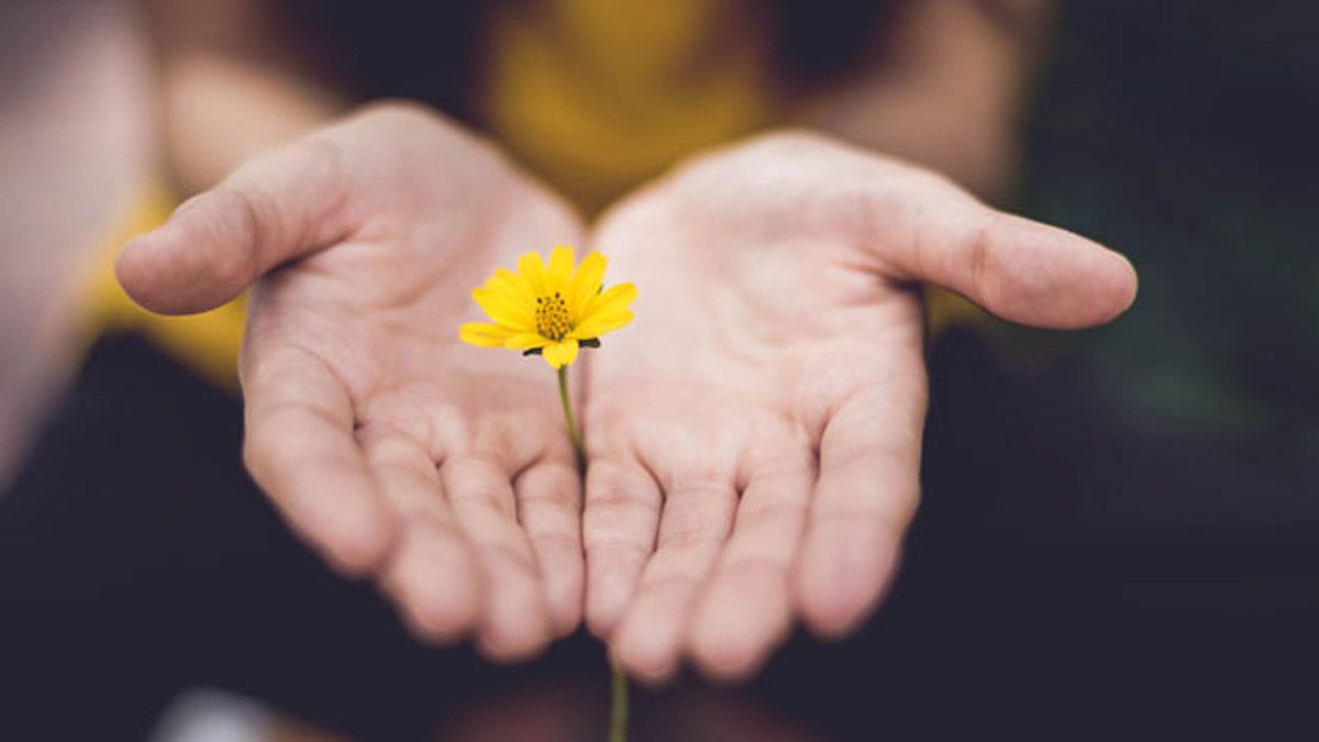 El perdón y los signos del zodiaco