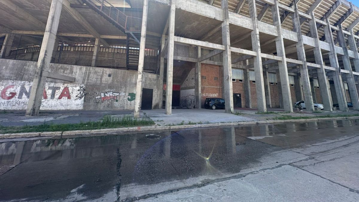Así se encuentra la calzada de calle Libertad en barrio Centenario.