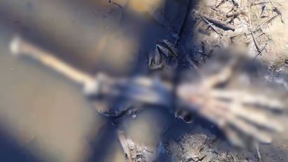 Macabro hallazgo en el arroyo San Javier: encontraron restos humanos y suponen que serían de un hombre desaparecido