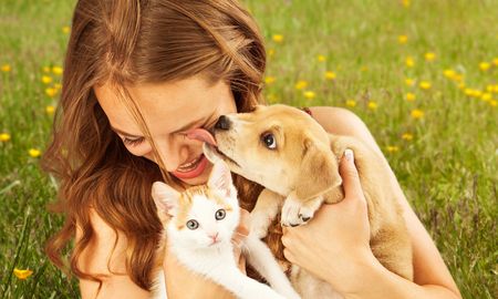 Perder a una mascota puede ser incluso más difícil de superar, debido a que forma parte de nuestra rutina y vida cotidiana Perder a una mascota puede ser incluso más difícil de superar, debido a que forma parte de nuestra rutina y vida cotidiana