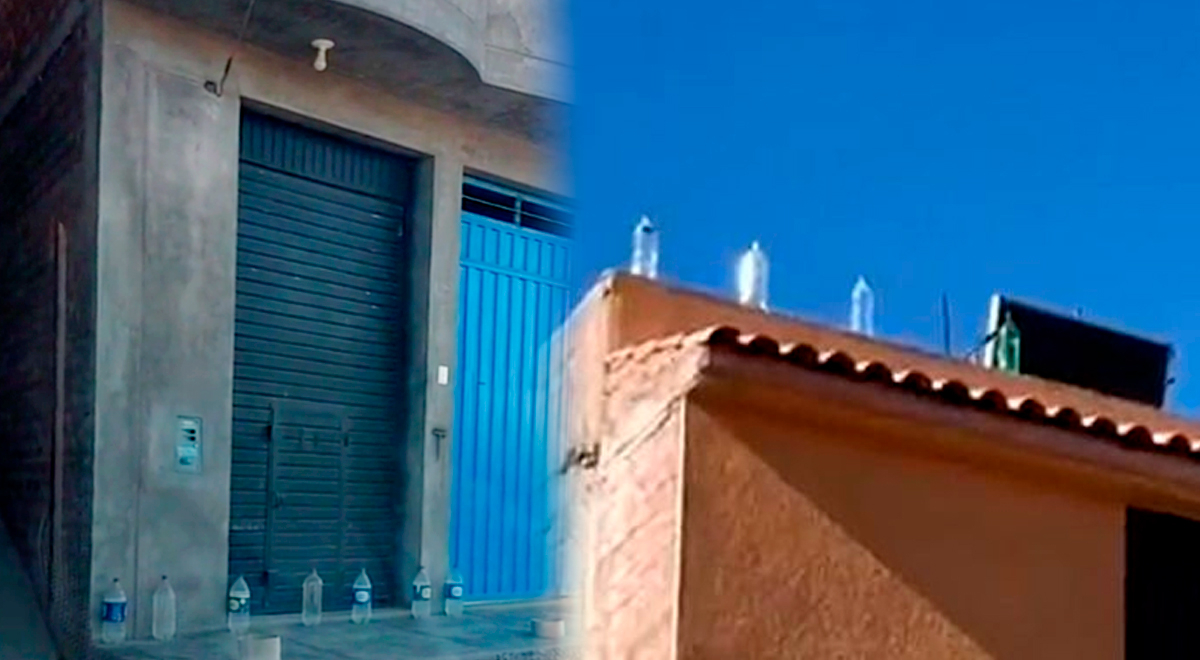 Los peruanos colocan botellas con agua en los techos para ahuyentar animales. Los peruanos colocan botellas con agua en los techos para ahuyentar animales.