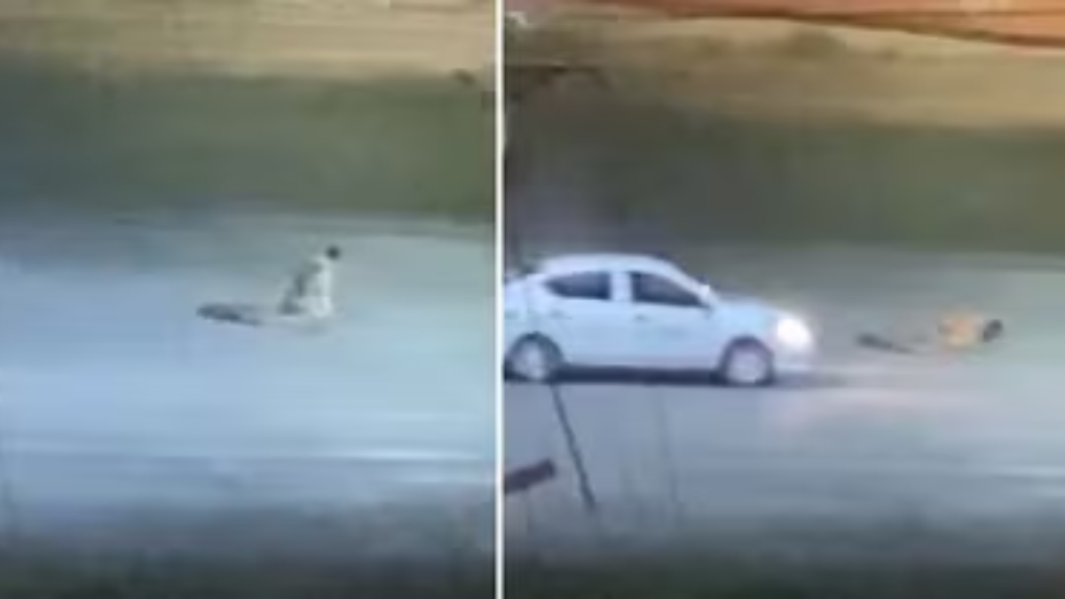 Escuchó gritos en la madrugada, abrió la ventana de su casa y descubrió una presencia aterradora: video viral