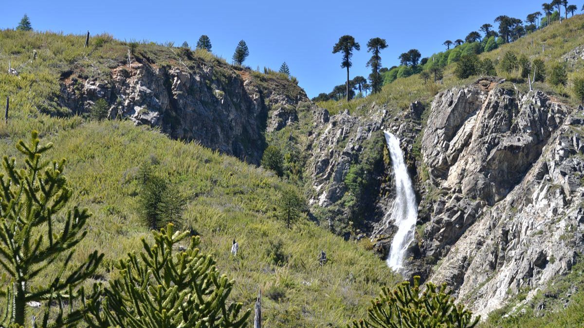 Cascada Coloco, un rinc&oacute;n secreto dentro del circuito Pehuenia.