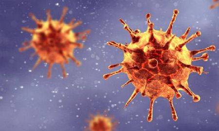 por que el coronavirus se propaga con tanta eficacia entre los humanos por que el coronavirus se propaga con tanta eficacia entre los humanos