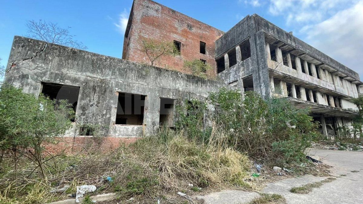 El ex Frigorífico Municipal está abandonado hace 30 años. 