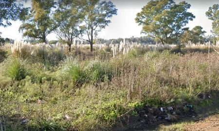 Macabro hallazgo de cuerpo semidesnudo de mujer a metros de colectora de Autopista Ezeiza-Cañuelas Macabro hallazgo de cuerpo semidesnudo de mujer a metros de colectora de Autopista Ezeiza-Cañuelas