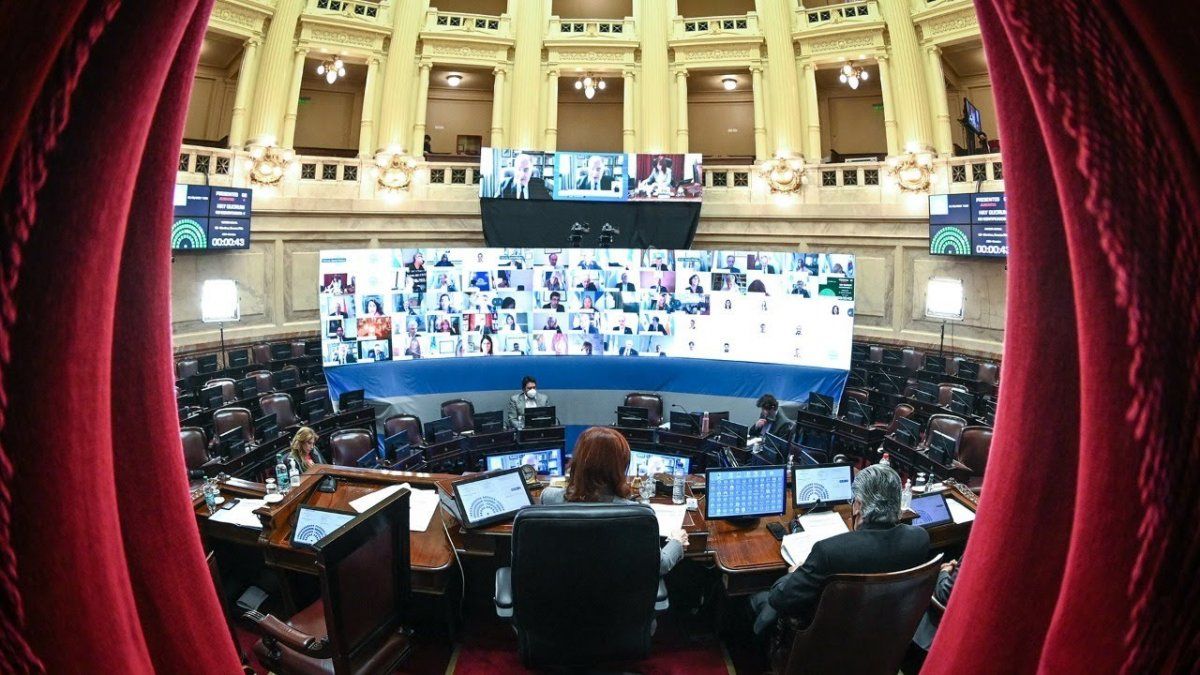 Cámara de Senadores aprobó este jueves por unanimidad y giró a Diputados