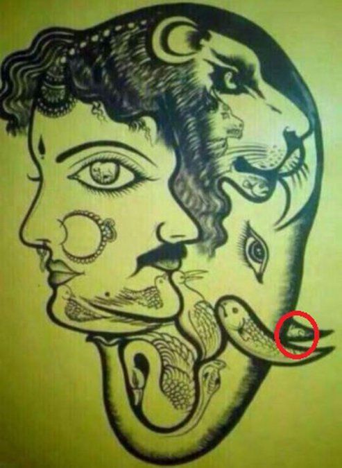 Aquí se encuentra escondido el conejo.