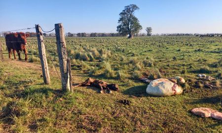 Aire de Santa Fe | InseguridadRural.jpg