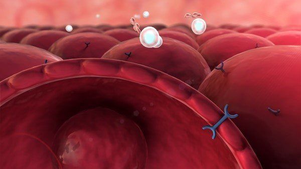 Cómo es el entrenamiento fit para personas que sufren de tiroides