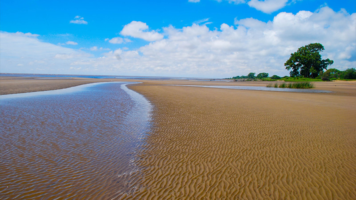 Con extensas playas, Punta Indio es la opción ideal para quienes se encuentran en búsqueda de un destino tranquilo y poco conocido. Con extensas playas, Punta Indio es la opción ideal para quienes se encuentran en búsqueda de un destino tranquilo y poco conocido.