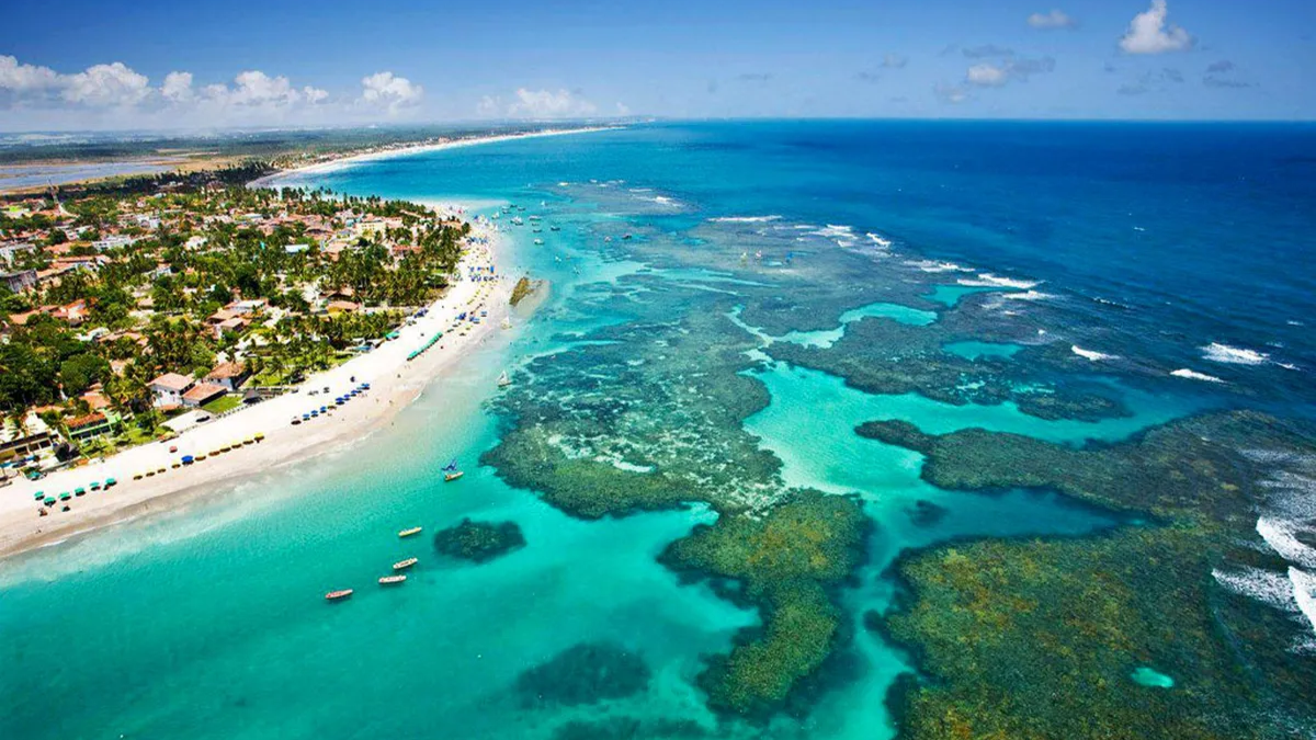 Tendencias del Turismo en el Primer Semestre de 2025.