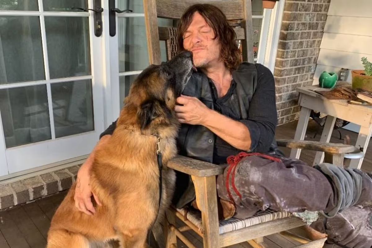 Falleció Seven: el fiel compañero de Daryl Dixon.