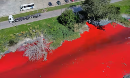Preocupación en Avellaneda: un arroyo se tiñó de rojo y encendió las alarmas en la zona Preocupación en Avellaneda: un arroyo se tiñó de rojo y encendió las alarmas en la zona