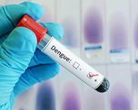 En Rafaela hay 192 casos de dengue confirmados y 183 pacientes en Reconquista. En Rafaela hay 192 casos de dengue confirmados y 183 pacientes en Reconquista.