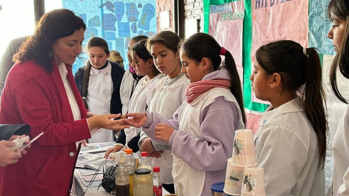 Alumnos y docentes de 270 escuelas presentaron el avance de los proyectos educativos en diversos formatos. Alumnos y docentes de 270 escuelas presentaron el avance de los proyectos educativos en diversos formatos.