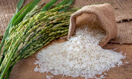 Cocinar buen arroz no depende de medir con exactitud matemática, sino de entender el ingrediente y respetar el proceso. Cocinar buen arroz no depende de medir con exactitud matemática, sino de entender el ingrediente y respetar el proceso.
