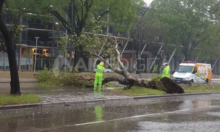 Este domingo, la ciudad de Santa Fe amaneció con un temporal que dejó algunas consecuencias, sobre todo en lo que tiene que ver con la transitabilidad en algunos sectores de la ciudad. Este domingo, la ciudad de Santa Fe amaneció con un temporal que dejó algunas consecuencias, sobre todo en lo que tiene que ver con la transitabilidad en algunos sectores de la ciudad.