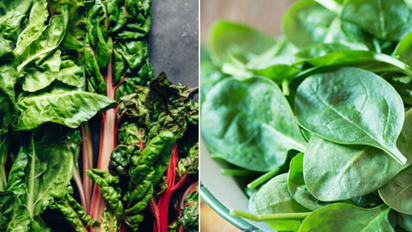 Cuál es la diferencia entre la acelga y la espinaca