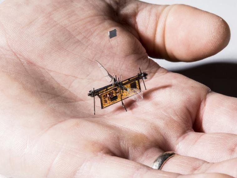 RoboFly, el primer insecto robótico volador inalámbrico