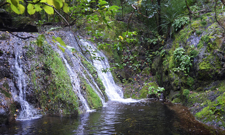La cascada Indio Bamba se convierte en uno de los puntos más elegidos para escapadas de un día desde la capital cordobesa. La cascada Indio Bamba se convierte en uno de los puntos más elegidos para escapadas de un día desde la capital cordobesa.