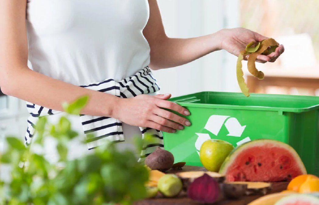 Cómo Cuidar El Medio Ambiente Desde Casa