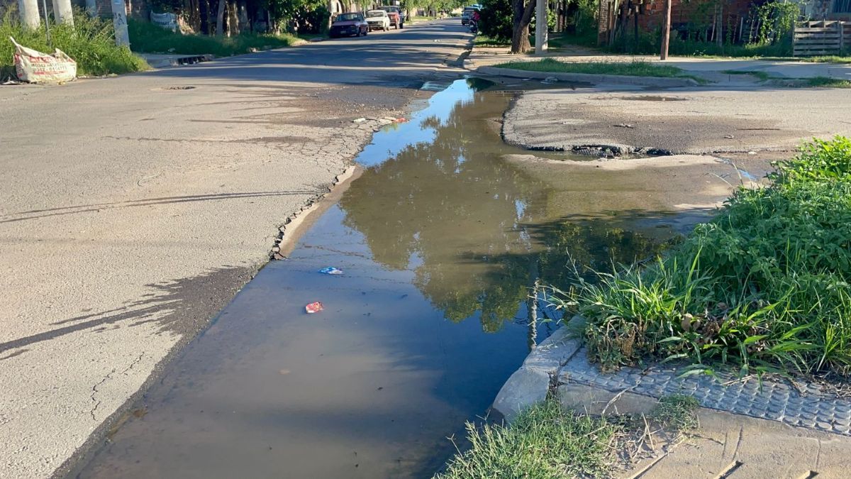 Desbordes cloacales en Necochea al 8100