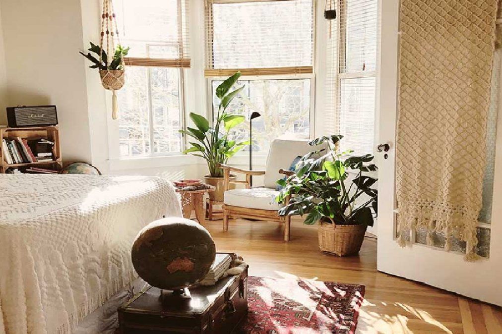 Plantas que podes tener en el dormitorio