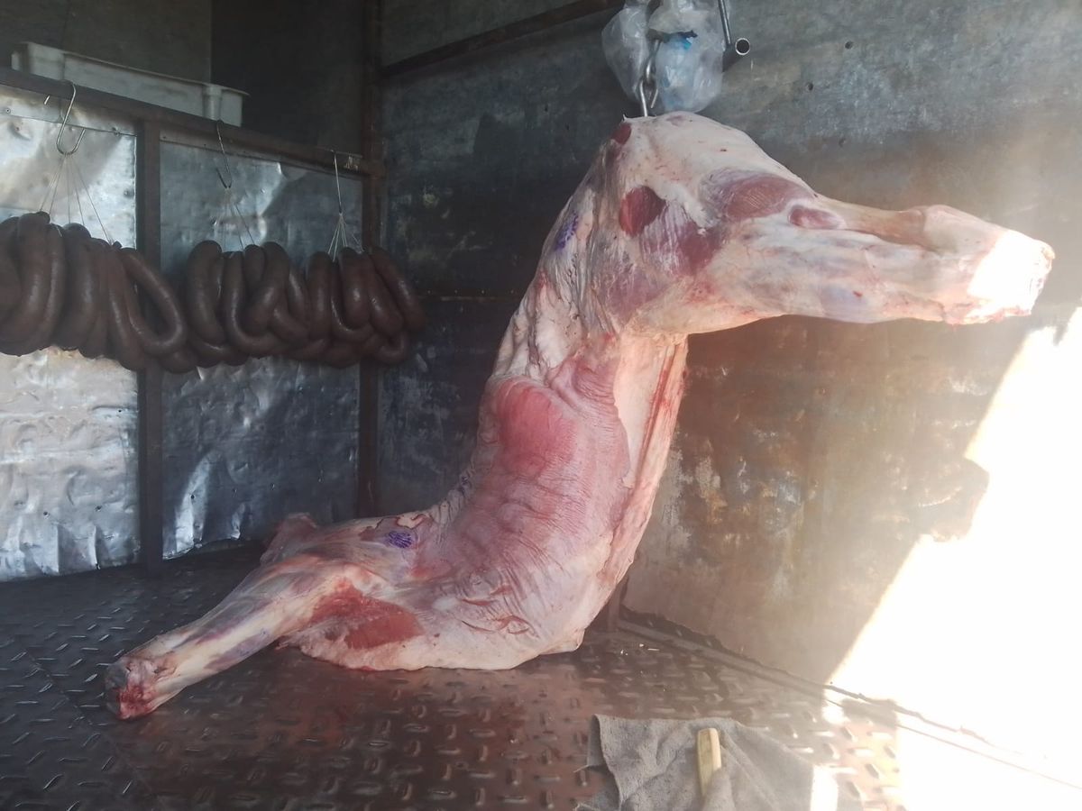 El cargamento incautado constaba de una media res de unos 50 kilos, más otros 84 kilos de embutidos.