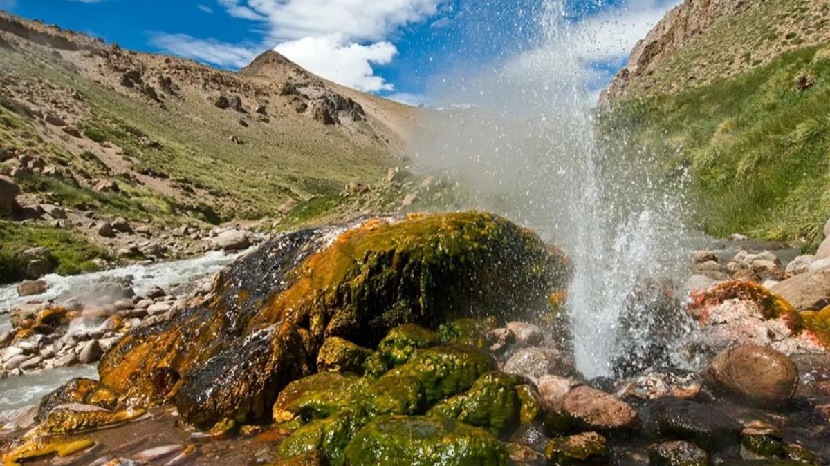 El chinchillón, un roedor de pelaje espeso y cola larga, habita en los paredones rocosos de la reserva y es una de las especies más fáciles de avistar durante el trekking hacia las fumarolas. El chinchillón, un roedor de pelaje espeso y cola larga, habita en los paredones rocosos de la reserva y es una de las especies más fáciles de avistar durante el trekking hacia las fumarolas.