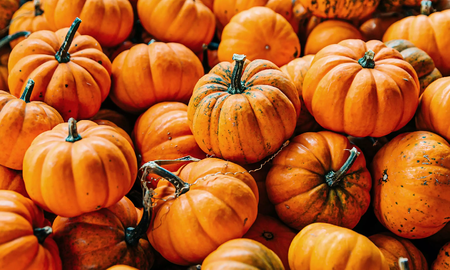 Frutas y verduras de temporada en octubre Frutas y verduras de temporada en octubre