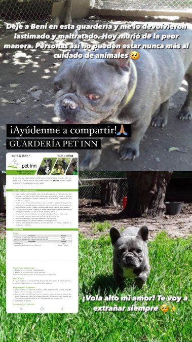 A Mariano Caprarola le mataron a su mascota.