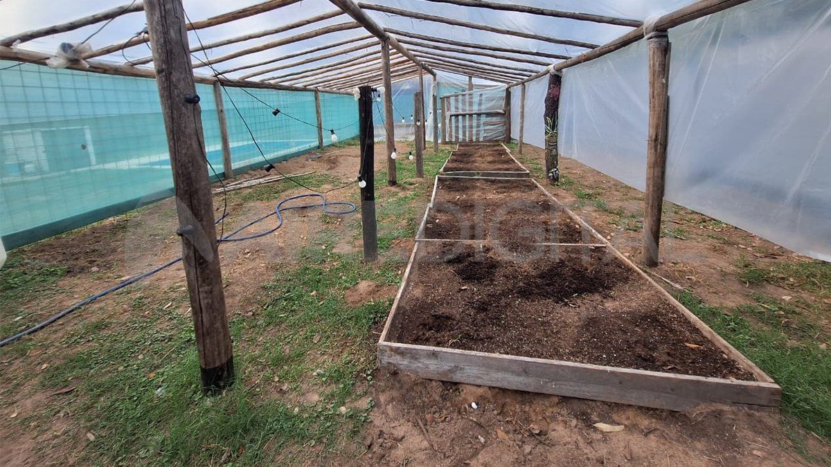 El invernadero fue descubierto por la PFA en la parte trasera del domicilio del hombre investigado: estaba vacío.&nbsp; 