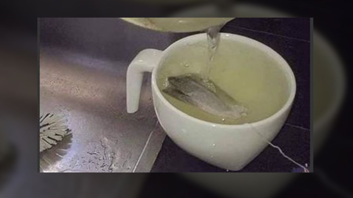 El posteo generó mucha indignaciónen la red social.