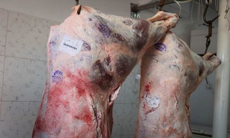 El sector ganadero, a la expectativa: Milei anunciaría una baja en las retenciones a la carne este sábado en la Expo Rural de Palermo. El sector ganadero, a la expectativa: Milei anunciaría una baja en las retenciones a la carne este sábado en la Expo Rural de Palermo.
