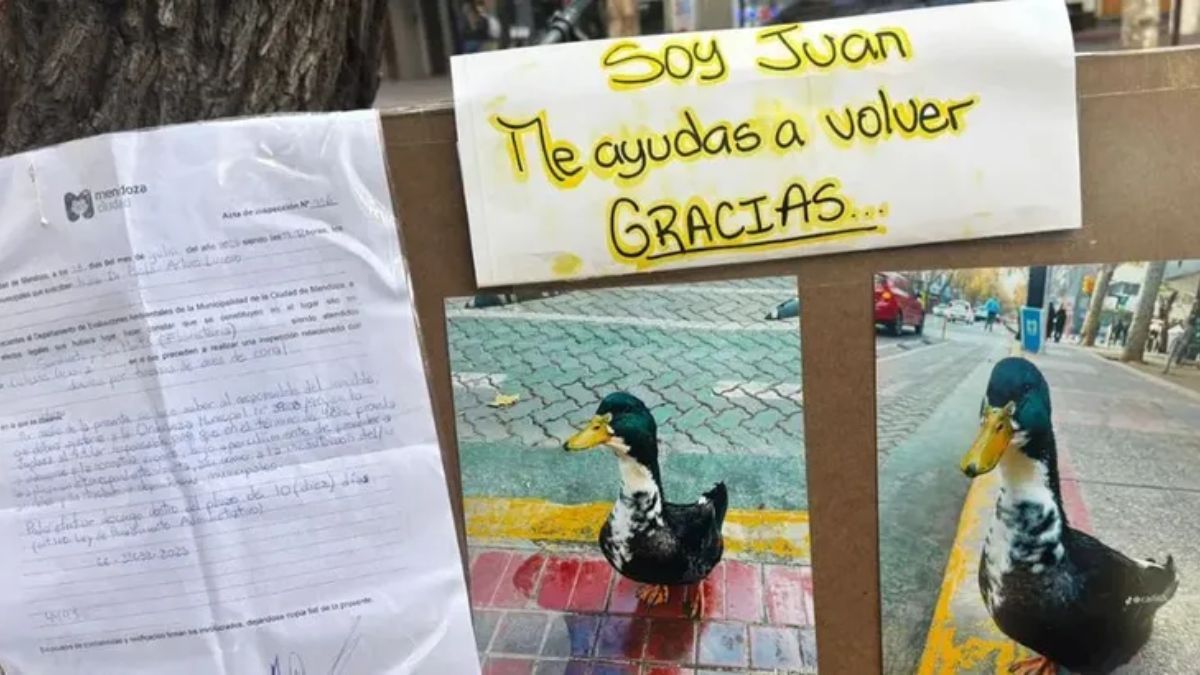 Margarita Flores, dueña de Juan, ya juntó más de 7 mil firmas para que vuelva al centro de Mendoza. Margarita Flores, dueña de Juan, ya juntó más de 7 mil firmas para que vuelva al centro de Mendoza. 