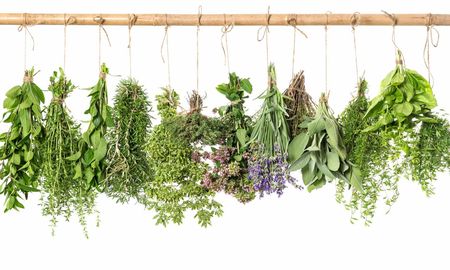 10 hierbas medicinales que no pueden faltar en tu botiquin natural 10 hierbas medicinales que no pueden faltar en tu botiquin natural