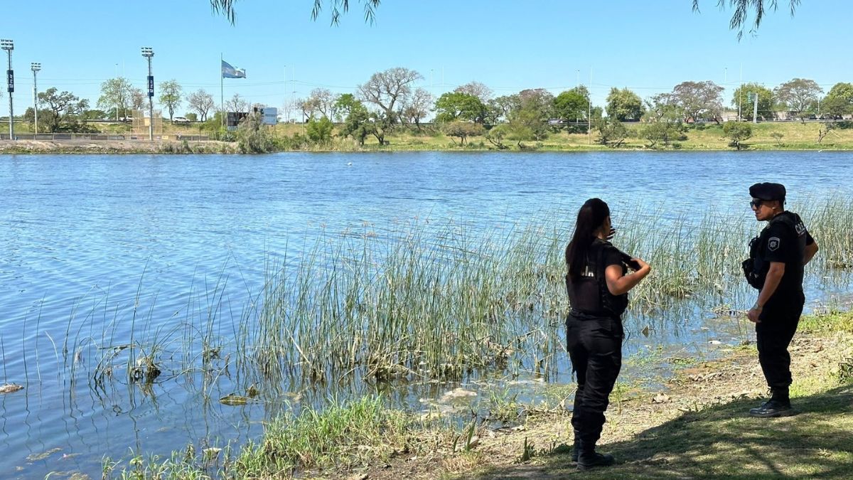 En su mayoría eran sábalos y palometas